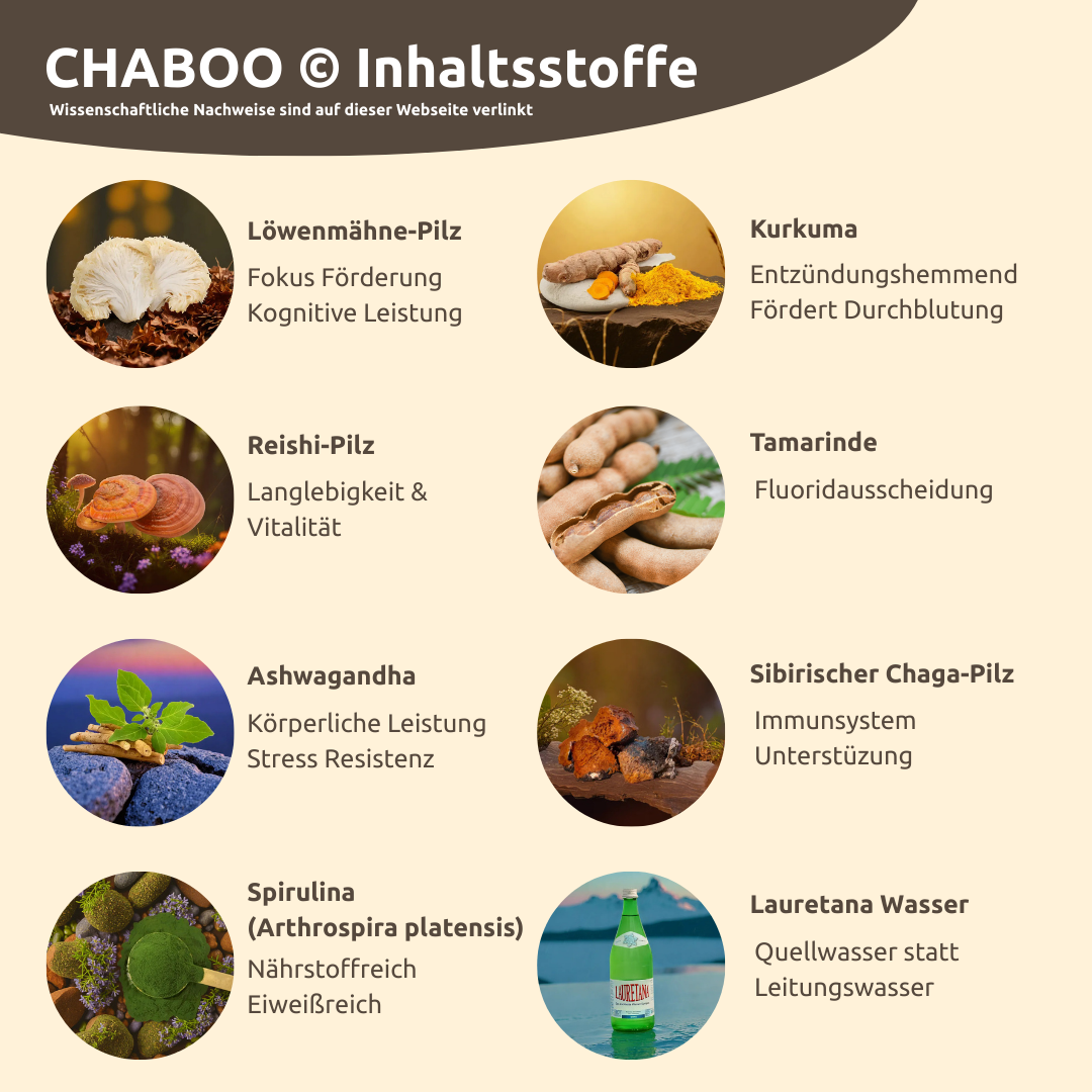 Chaboo ©