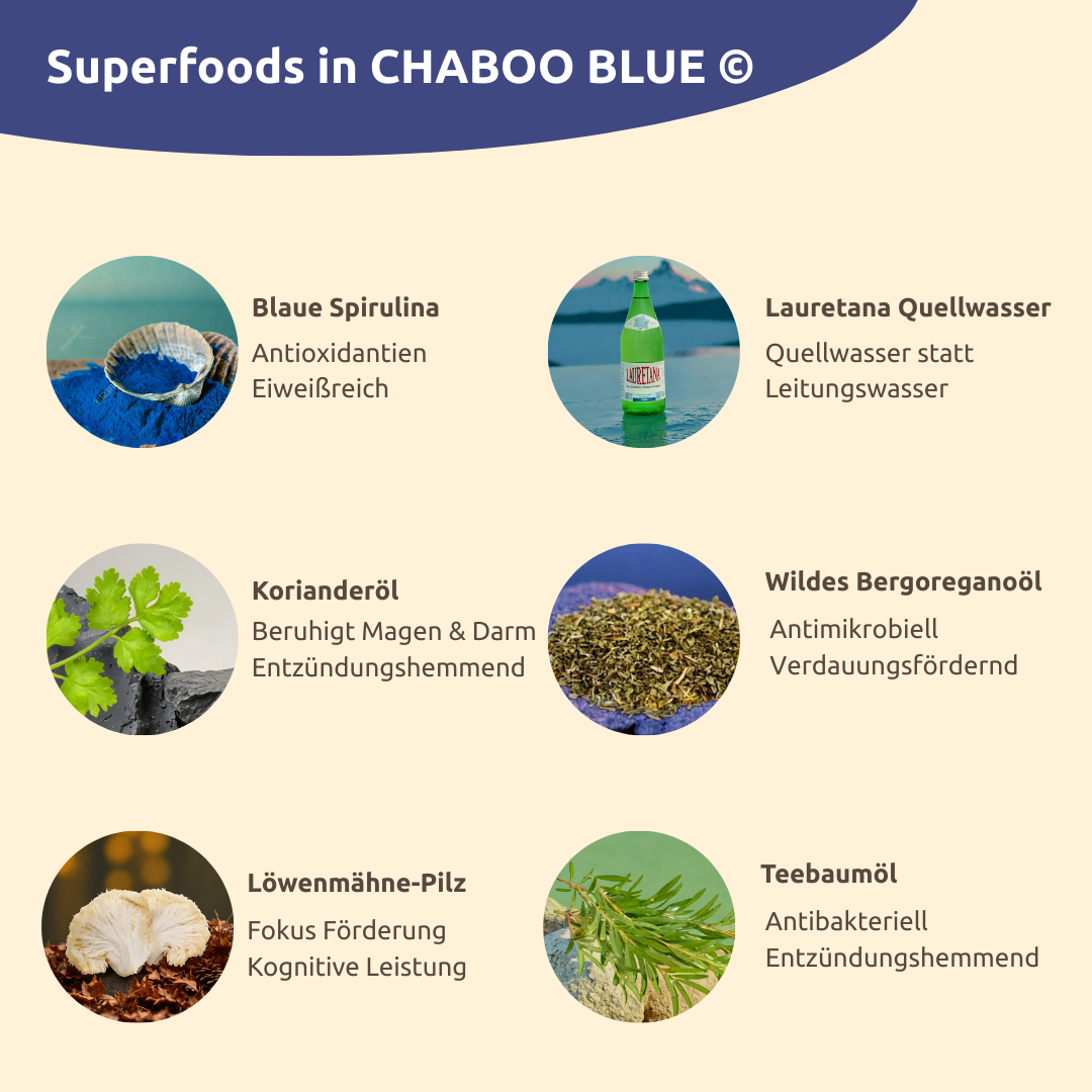 Chaboo Blue ©